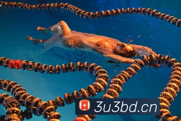 乐鱼官方体育app官网APP 体育赛事宣传图